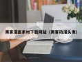 天津黑客漫画素材下载网站（黑客动漫头像）