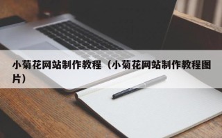 天津小菊花网站制作教程（小菊花网站制作教程图片）